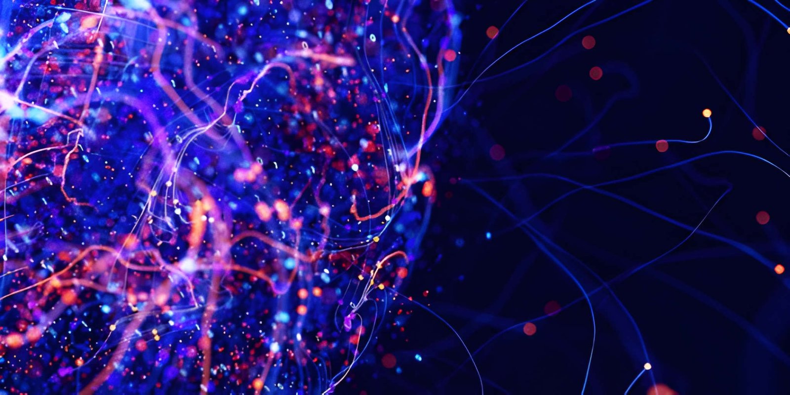 Neural Networks Visualization